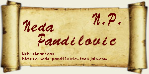Neda Pandilović vizit kartica